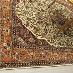 851 6301 ORIENTAL RUG